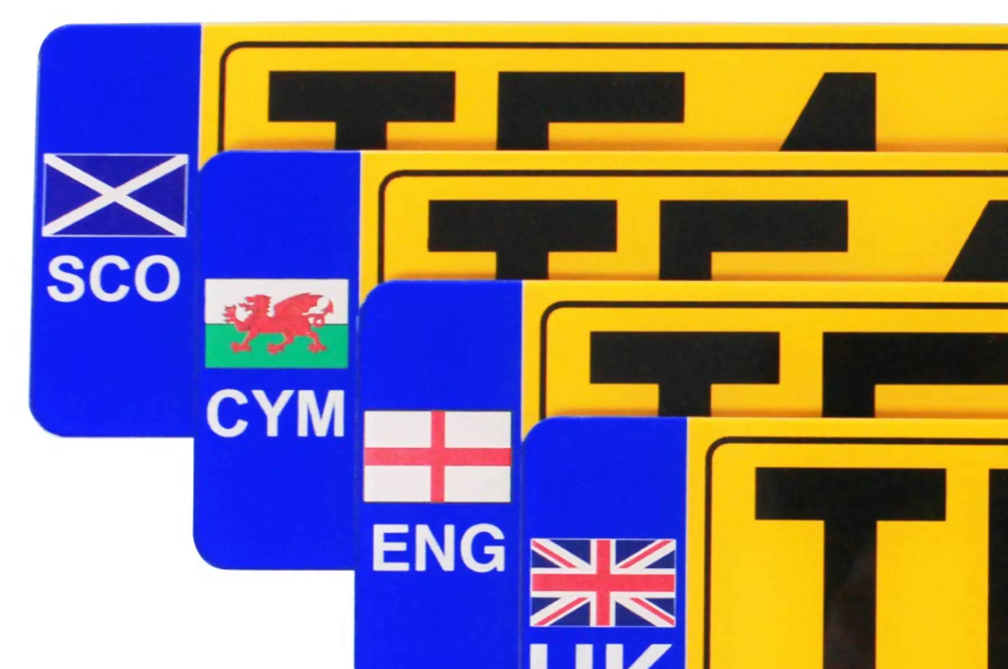 Let’s Build Your Plate