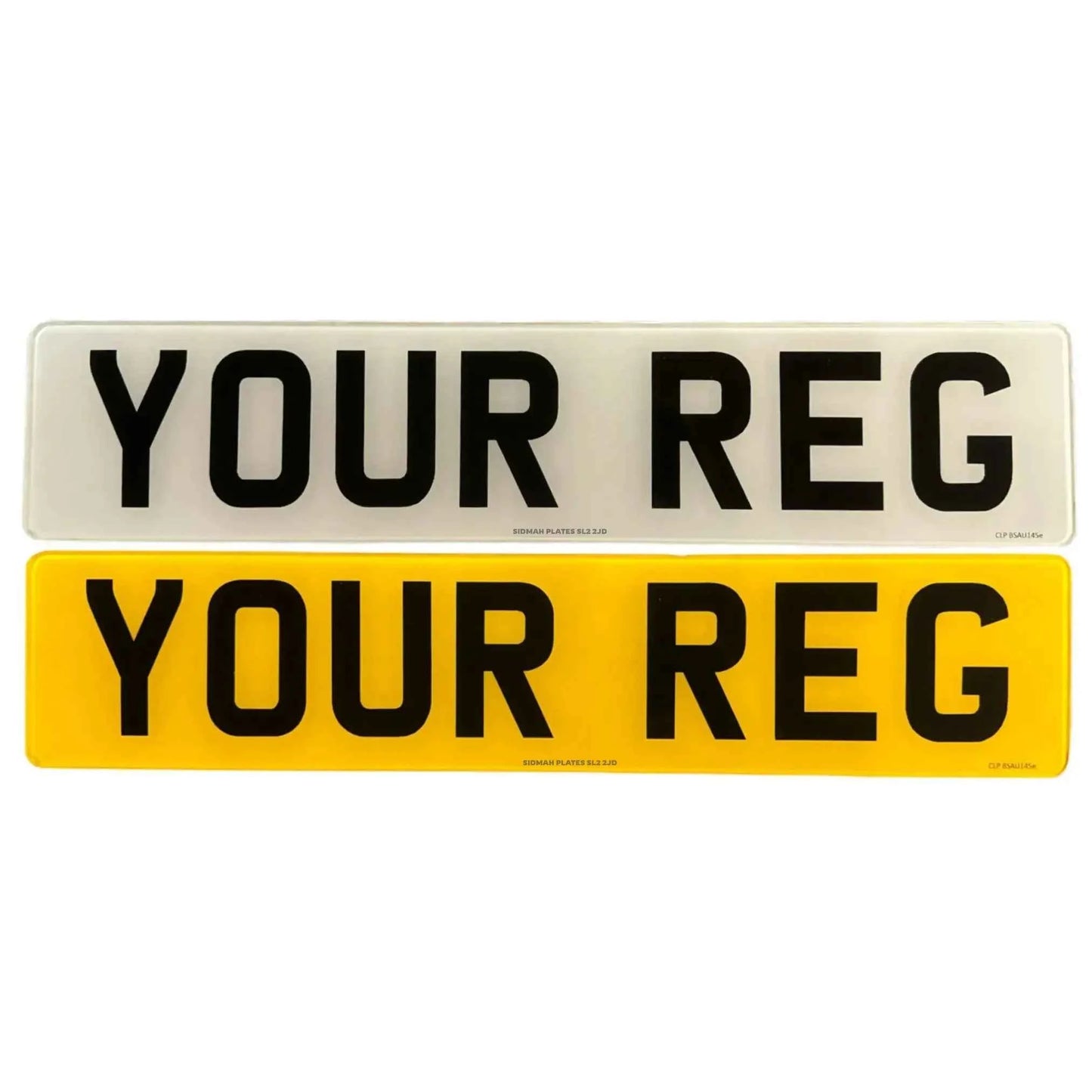 Let’s Build Your Plate