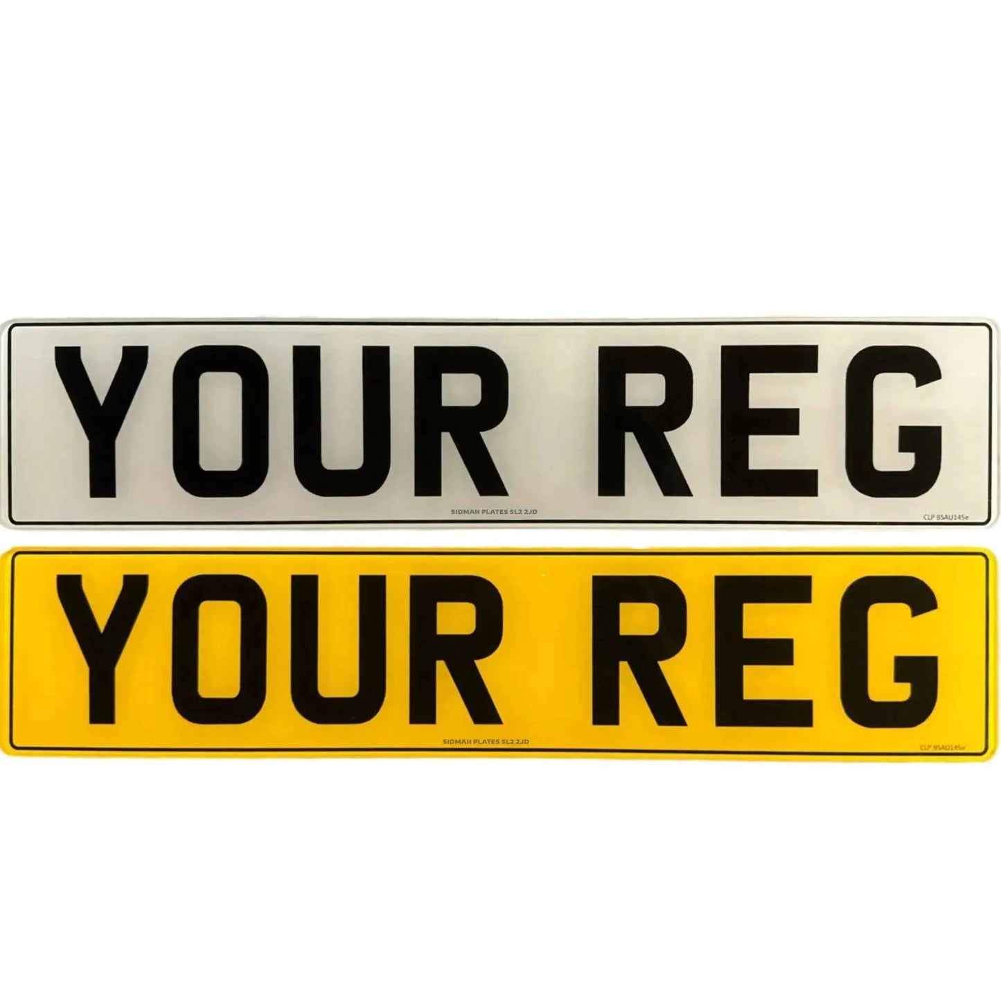 Let’s Build Your Plate