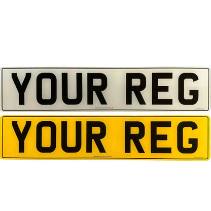 Let’s Build Your Plate